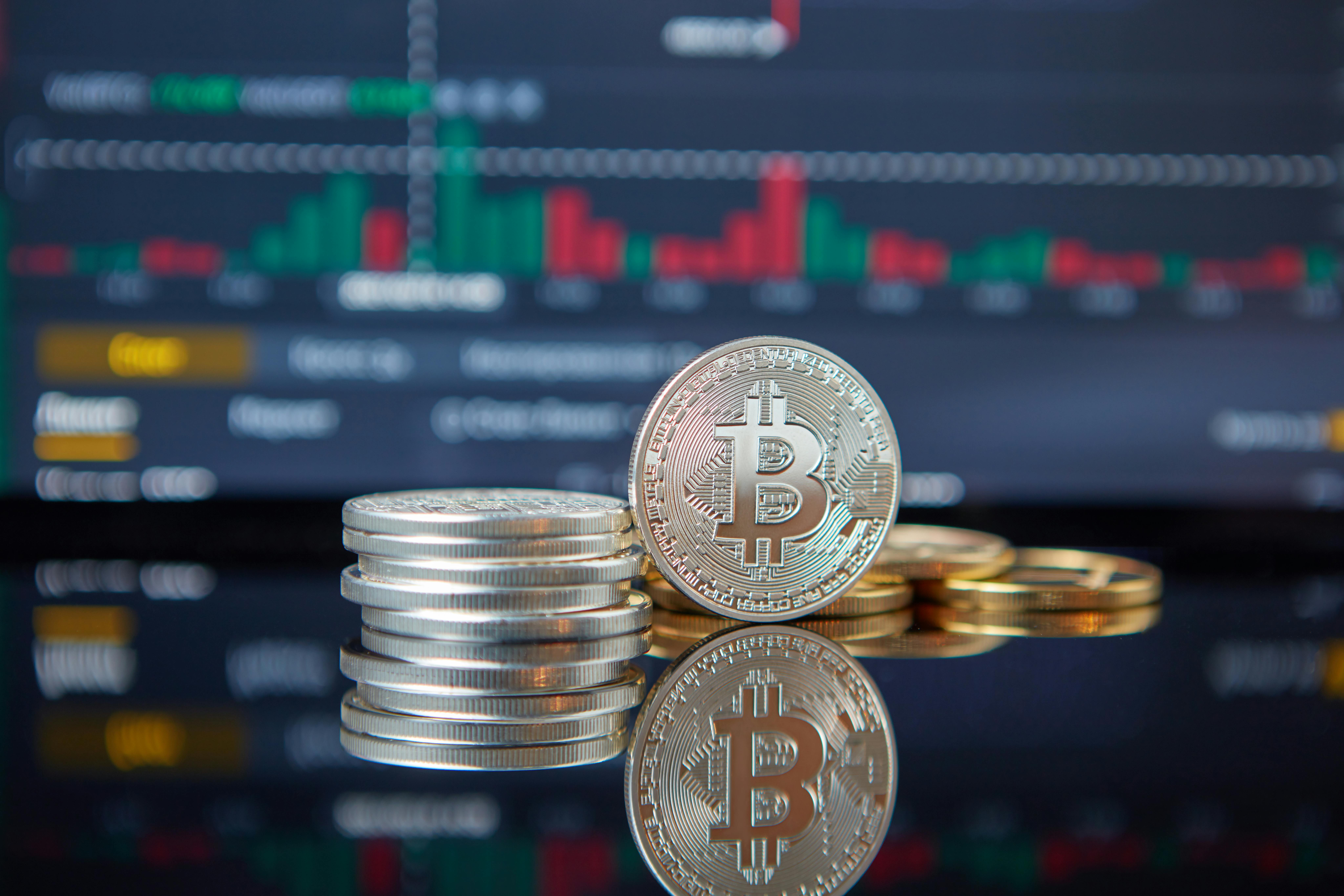 pexels photo 7267608 7267608